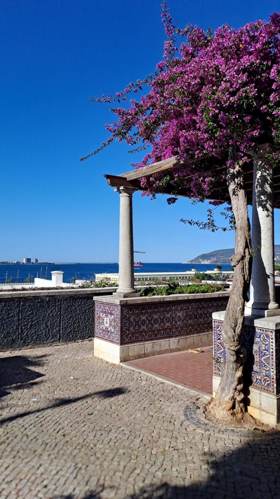 Jangada Apartamento Setubal Setúbal Exterior foto